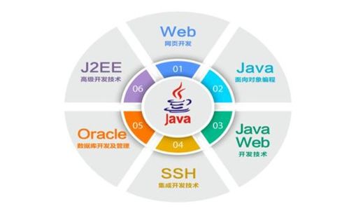 從入門到退坑 IT行業五大崗位全解析，軟件開發是否最賺錢？